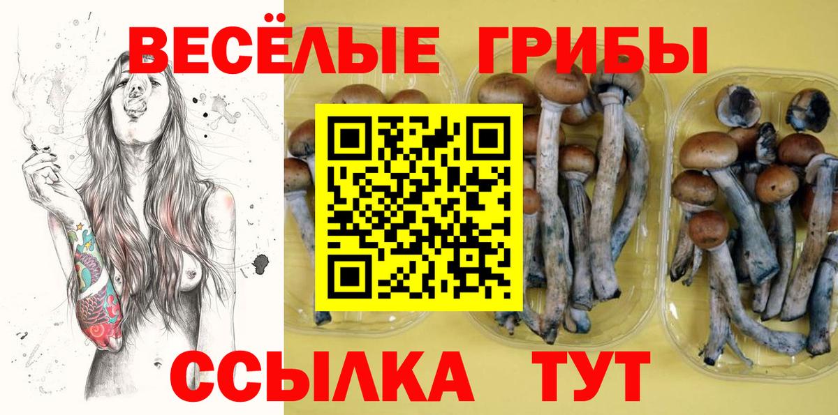 Галлюциногенные грибы Magic Shrooms Севастополь