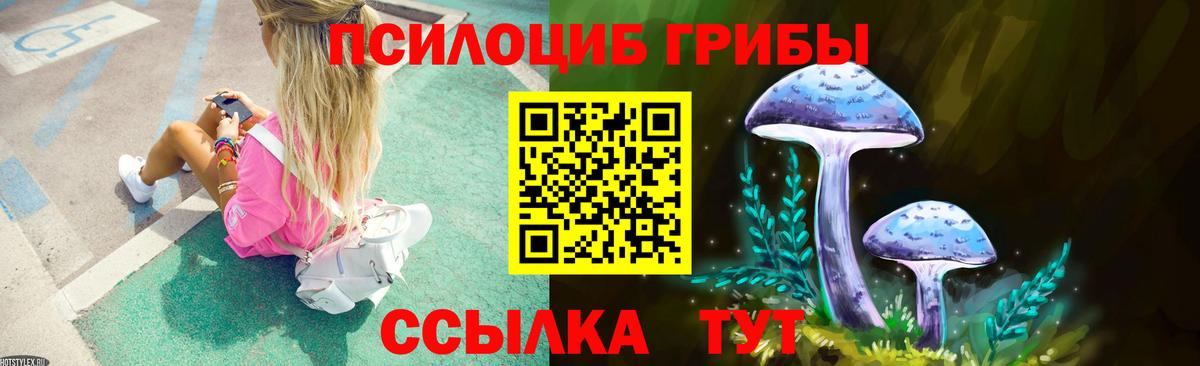 Галлюциногенные грибы мицелий  даркнет сайт  Севастополь  Вход с VPN 